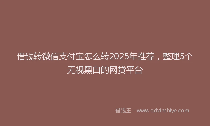 借钱转微信支付宝怎么转2025年推荐，整理5个无视黑白的网贷平台