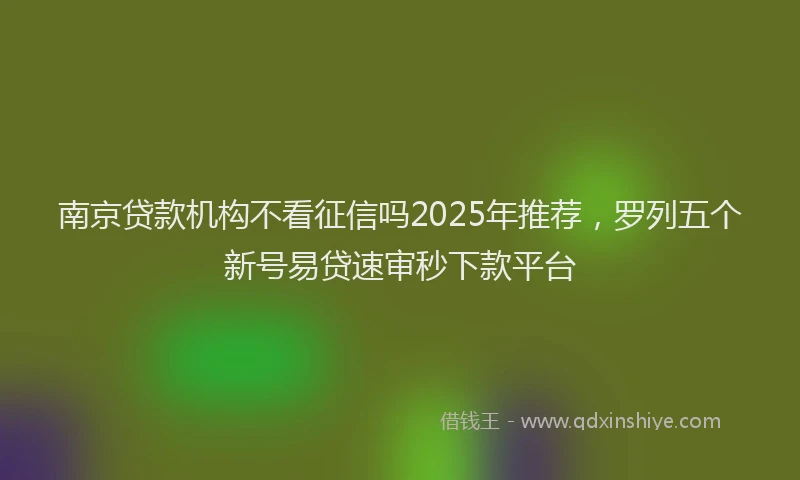 南京贷款机构不看征信吗2025年推荐，罗列五个新号易贷速审秒下款平台
