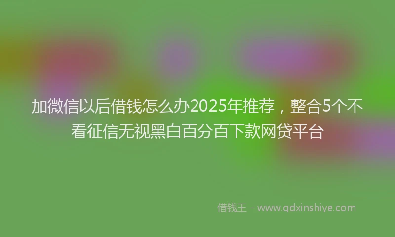 加微信以后借钱怎么办2025年推荐，整合5个不看征信无视黑白百分百下款网贷平台