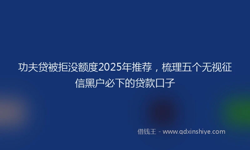功夫贷被拒没额度2025年推荐，梳理五个无视征信黑户必下的贷款口子