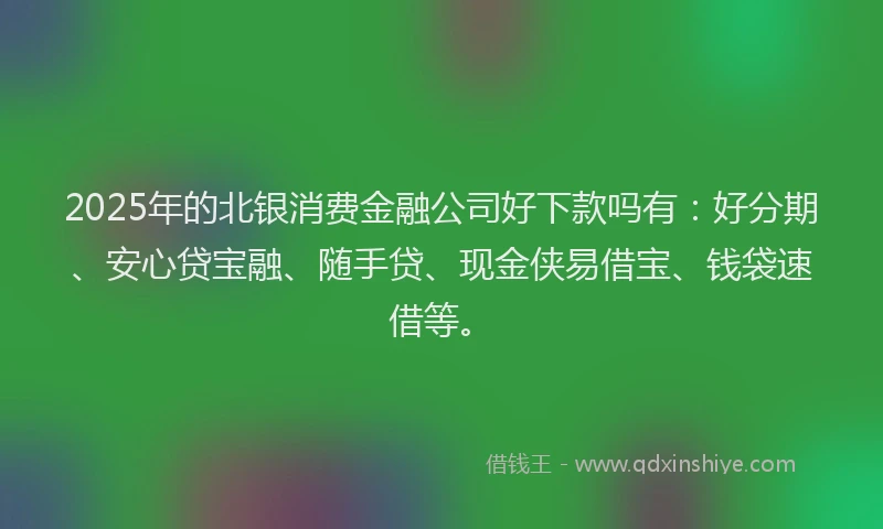 2025年的北银消费金融公司好下款吗有：好分期、安心贷宝融、随手贷、现金侠易借宝、钱袋速借等。