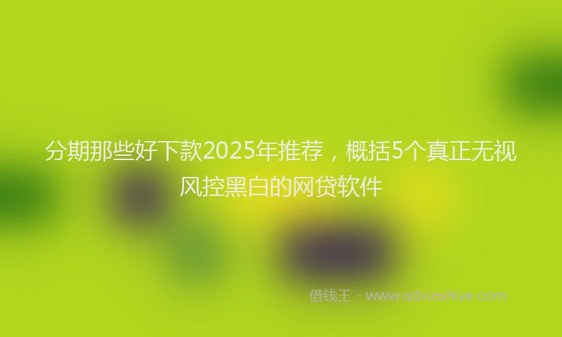 分期那些好下款2025年推荐，概括5个真正无视风控黑白的网贷软件