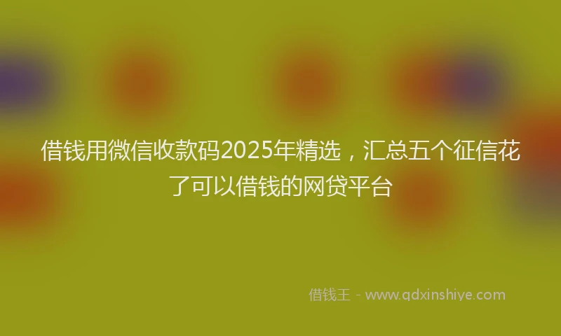 借钱用微信收款码2025年精选，汇总五个征信花了可以借钱的网贷平台
