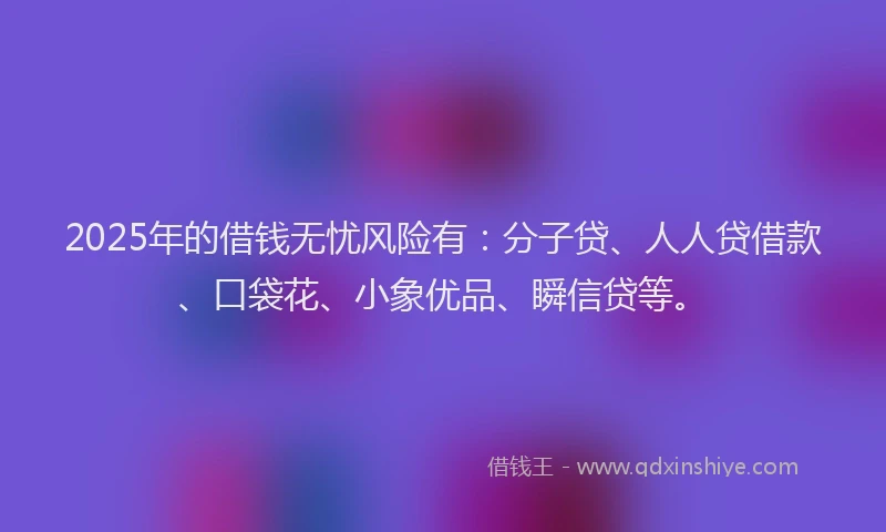 2025年的借钱无忧风险有：分子贷、人人贷借款、口袋花、小象优品、瞬信贷等。