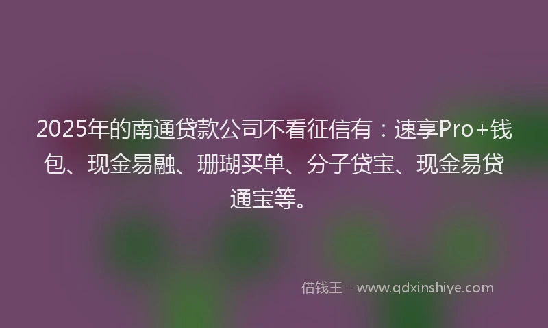 2025年的南通贷款公司不看征信有：速享Pro+钱包、现金易融、珊瑚买单、分子贷宝、现金易贷通宝等。