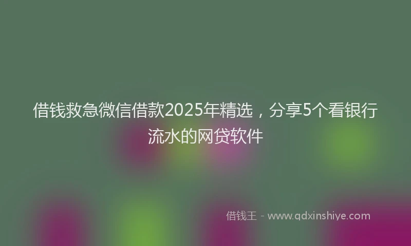 借钱救急微信借款2025年精选，分享5个看银行流水的网贷软件