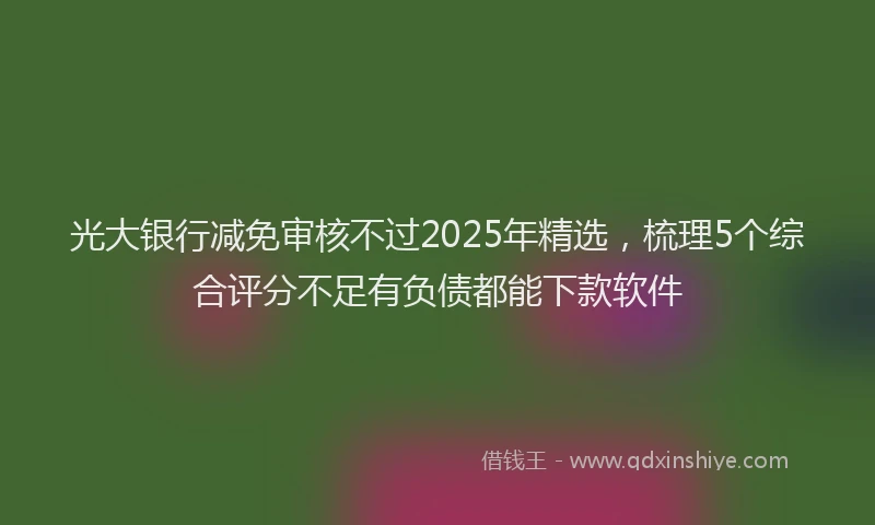 光大银行减免审核不过2025年精选，梳理5个综合评分不足有负债都能下款软件