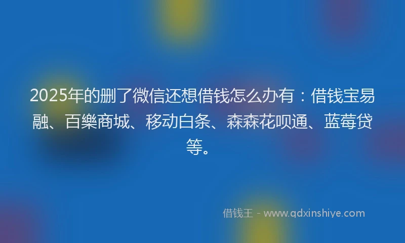 2025年的删了微信还想借钱怎么办有：借钱宝易融、百樂商城、移动白条、森森花呗通、蓝莓贷等。