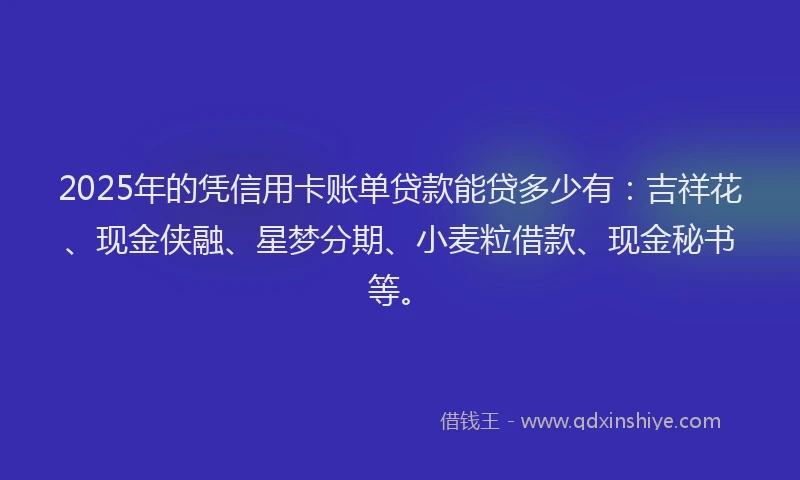 2025年的凭信用卡账单贷款能贷多少有：吉祥花、现金侠融、星梦分期、小麦粒借款、现金秘书等。