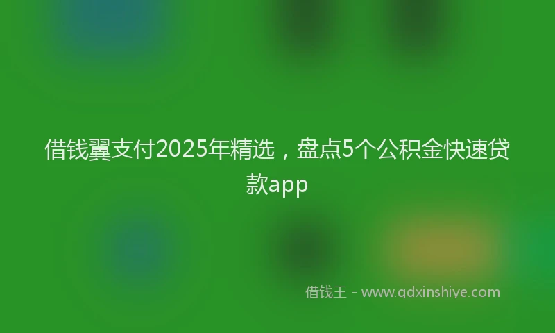 借钱翼支付2025年精选，盘点5个公积金快速贷款app