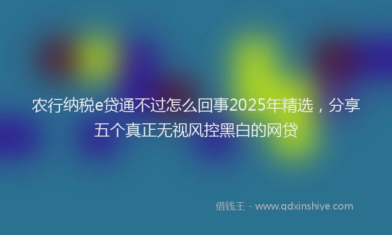 农行纳税e贷通不过怎么回事2025年精选，分享五个真正无视风控黑白的网贷