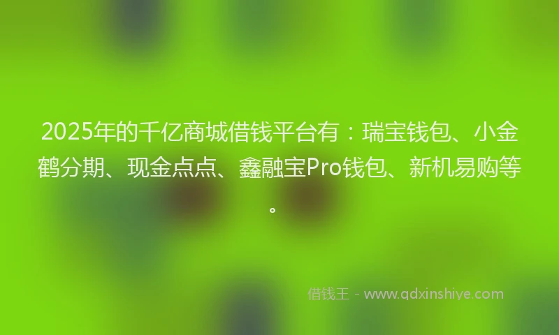 2025年的千亿商城借钱平台有：瑞宝钱包、小金鹤分期、现金点点、鑫融宝Pro钱包、新机易购等。
