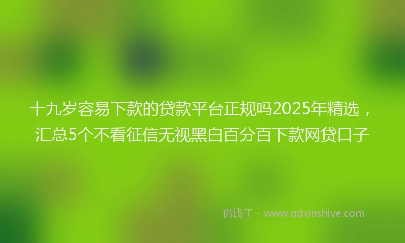 十九岁容易下款的贷款平台正规吗2025年精选，汇总5个不看征信无视黑白百分百下款网贷口子
