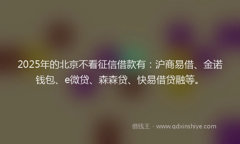 2025年的北京不看征信借款有：沪商易借、金诺钱包、e微贷、森森贷、快易借贷融等。