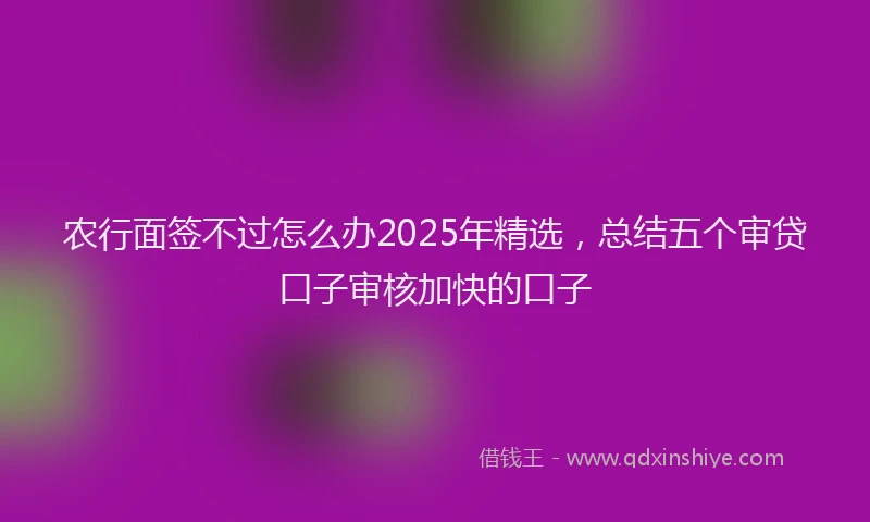 农行面签不过怎么办2025年精选，总结五个审贷口子审核加快的口子