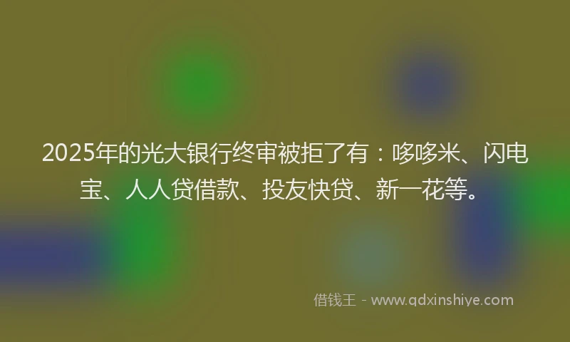2025年的光大银行终审被拒了有：哆哆米、闪电宝、人人贷借款、投友快贷、新一花等。