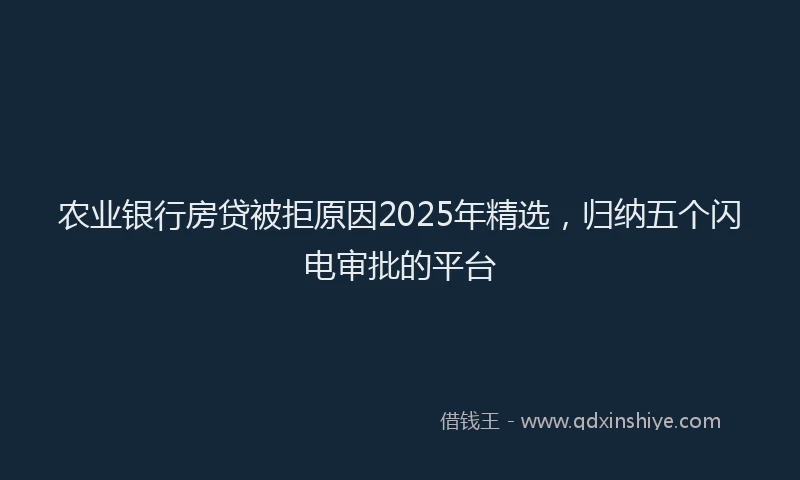 农业银行房贷被拒原因2025年精选，归纳五个闪电审批的平台