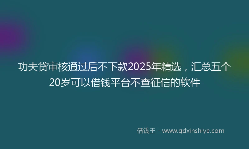 功夫贷审核通过后不下款2025年精选，汇总五个20岁可以借钱平台不查征信的软件