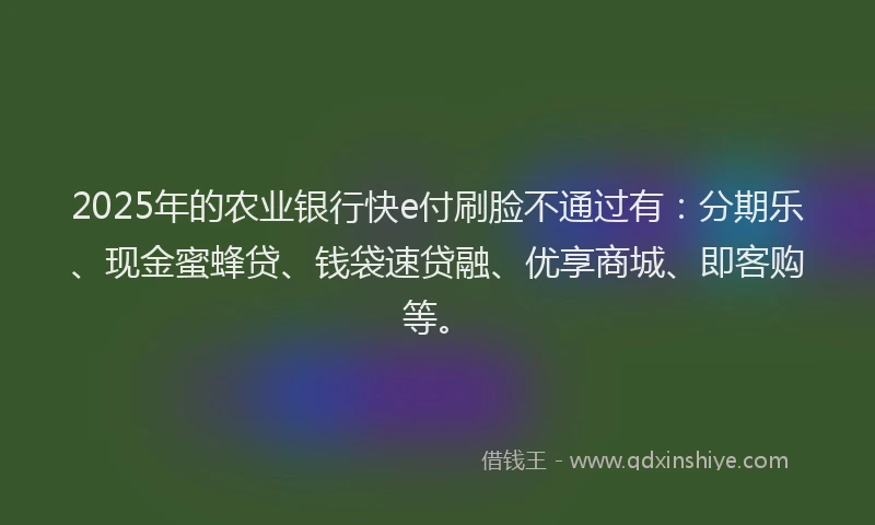 2025年的农业银行快e付刷脸不通过有：分期乐、现金蜜蜂贷、钱袋速贷融、优享商城、即客购等。