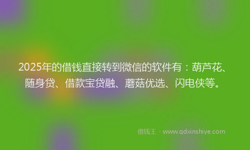2025年的借钱直接转到微信的软件有：葫芦花、随身贷、借款宝贷融、蘑菇优选、闪电侠等。