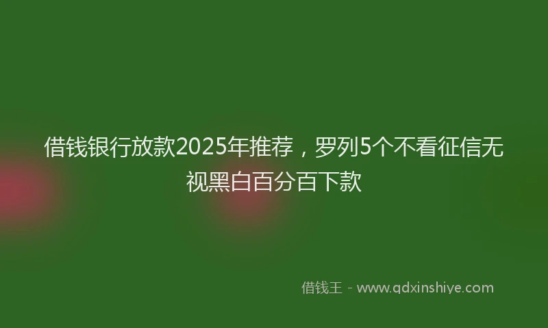 借钱银行放款2025年推荐，罗列5个不看征信无视黑白百分百下款