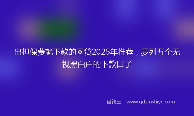 出担保费就下款的网贷2025年推荐，罗列五个无视黑白户的下款口子