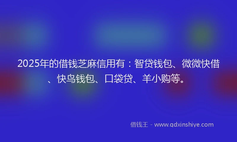 2025年的借钱芝麻信用有：智贷钱包、微微快借、快鸟钱包、口袋贷、羊小购等。