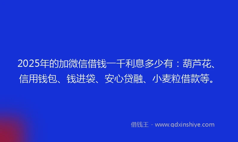 2025年的加微信借钱一千利息多少有：葫芦花、信用钱包、钱进袋、安心贷融、小麦粒借款等。