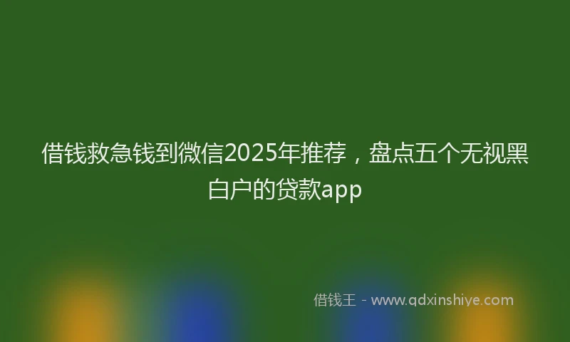 借钱救急钱到微信2025年推荐，盘点五个无视黑白户的贷款app