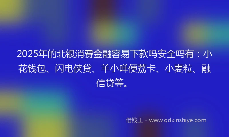 2025年的北银消费金融容易下款吗安全吗有：小花钱包、闪电侠贷、羊小咩便荔卡、小麦粒、融信贷等。