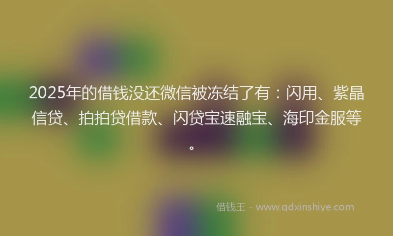 2025年的借钱没还微信被冻结了有：闪用、紫晶信贷、拍拍贷借款、闪贷宝速融宝、海印金服等。