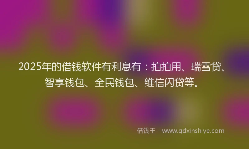 2025年的借钱软件有利息有：拍拍用、瑞雪贷、智享钱包、全民钱包、维信闪贷等。