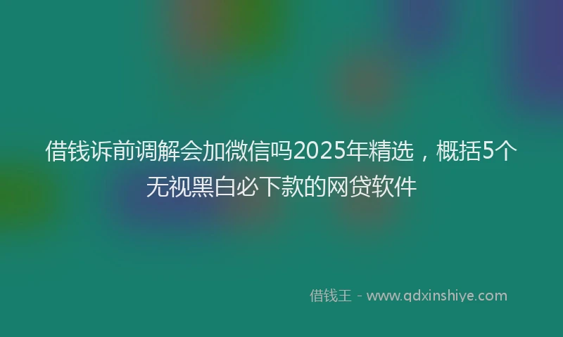 借钱诉前调解会加微信吗2025年精选，概括5个无视黑白必下款的网贷软件