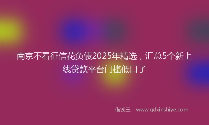 南京不看征信花负债2025年精选，汇总5个新上线贷款平台门槛低口子