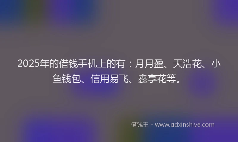 2025年的借钱手机上的有：月月盈、天浩花、小鱼钱包、信用易飞、鑫享花等。