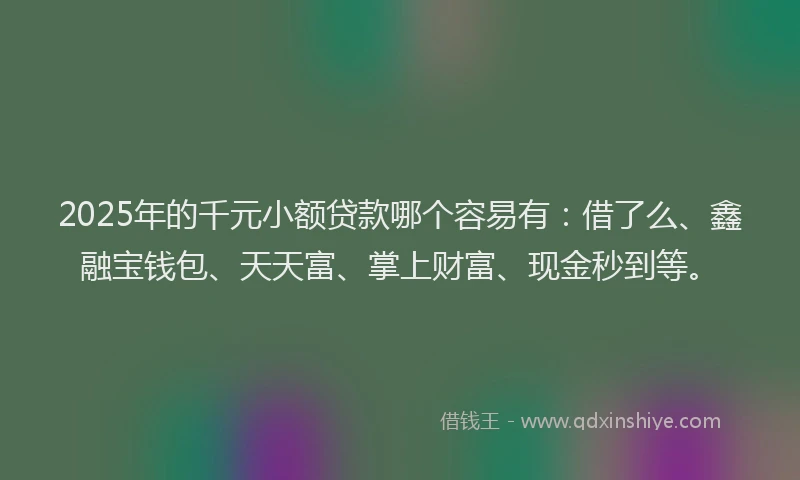 2025年的千元小额贷款哪个容易有：借了么、鑫融宝钱包、天天富、掌上财富、现金秒到等。