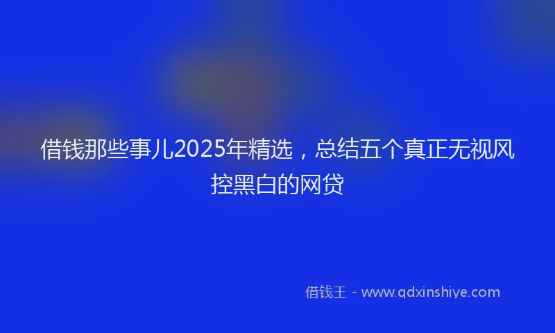 借钱那些事儿2025年精选，总结五个真正无视风控黑白的网贷