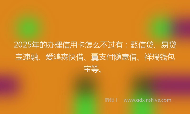 2025年的办理信用卡怎么不过有：甄信贷、易贷宝速融、爱鸿森快借、翼支付随意借、祥瑞钱包宝等。