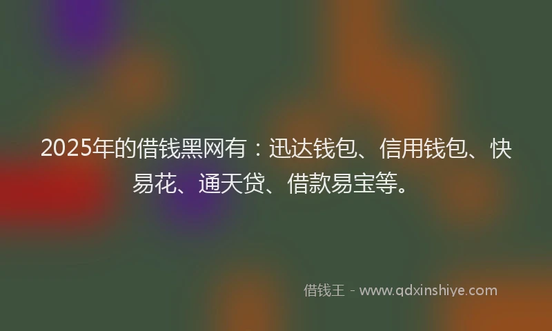 2025年的借钱黑网有：迅达钱包、信用钱包、快易花、通天贷、借款易宝等。