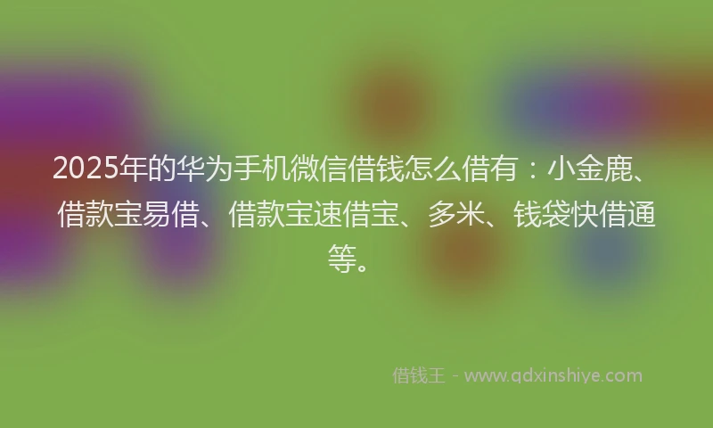 2025年的华为手机微信借钱怎么借有：小金鹿、借款宝易借、借款宝速借宝、多米、钱袋快借通等。