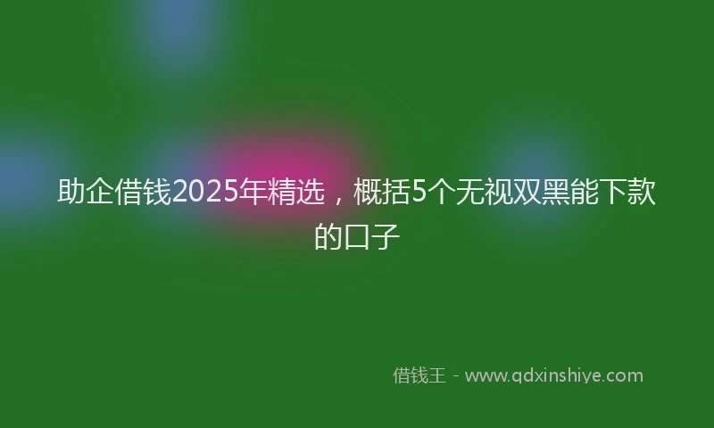 助企借钱2025年精选，概括5个无视双黑能下款的口子