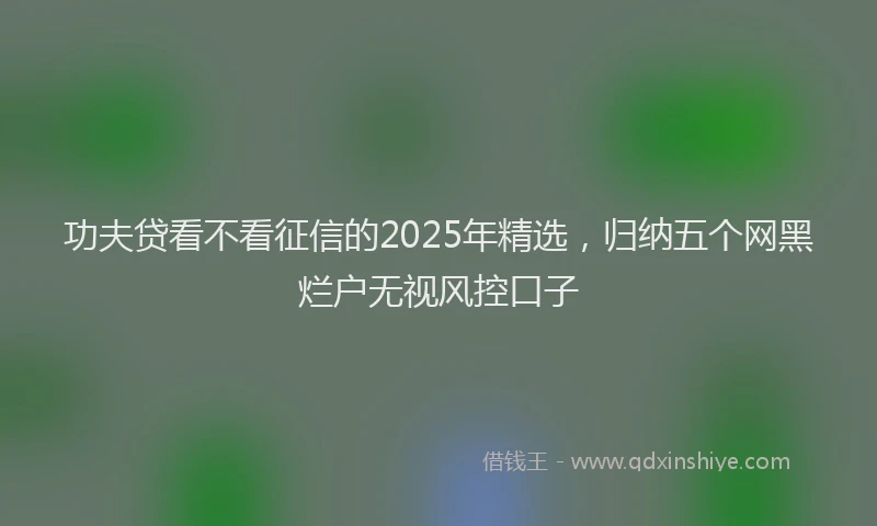 功夫贷看不看征信的2025年精选，归纳五个网黑烂户无视风控口子