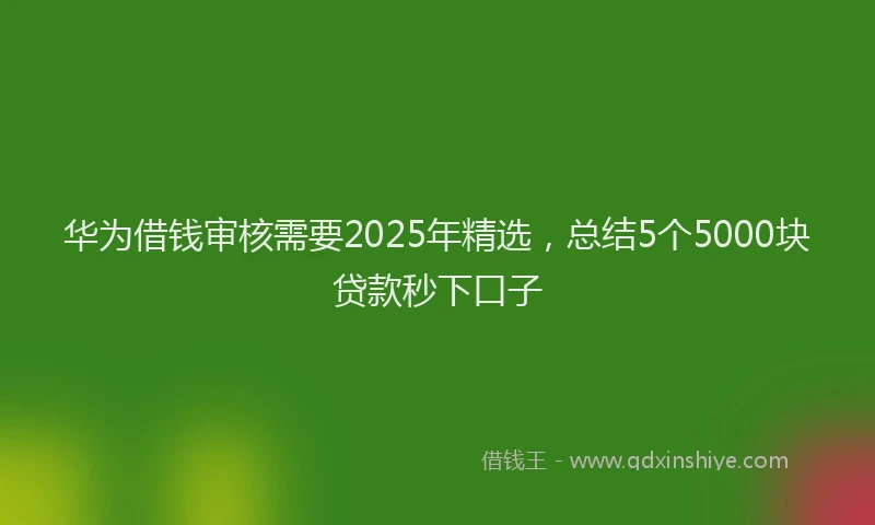 华为借钱审核需要2025年精选，总结5个5000块贷款秒下口子