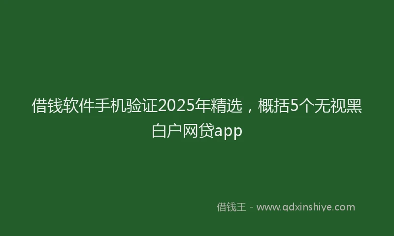 借钱软件手机验证2025年精选，概括5个无视黑白户网贷app