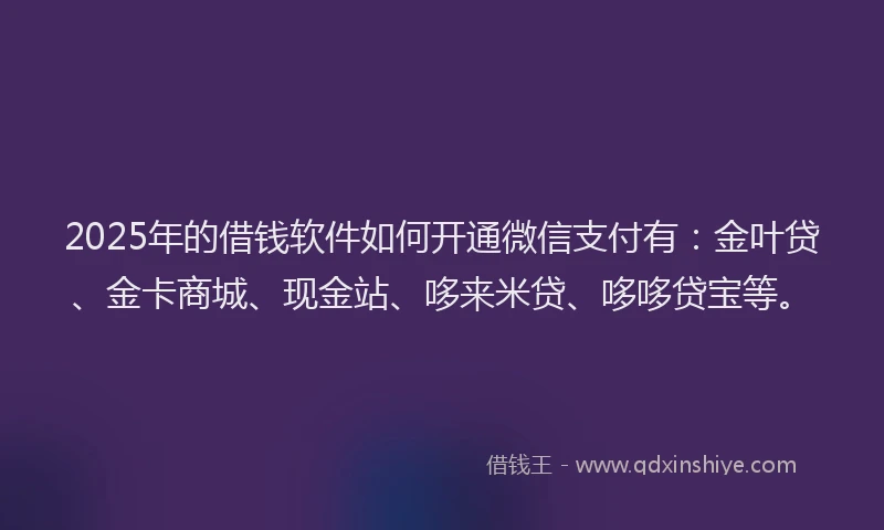 2025年的借钱软件如何开通微信支付有：金叶贷、金卡商城、现金站、哆来米贷、哆哆贷宝等。