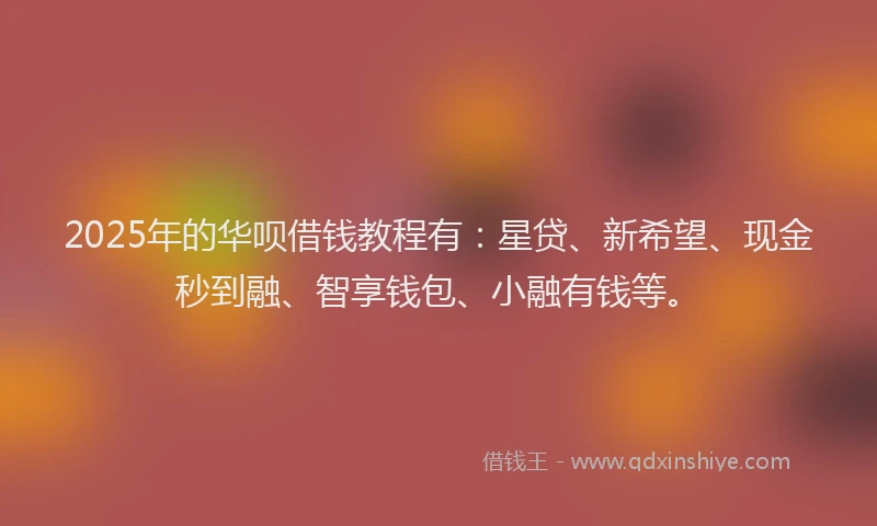 2025年的华呗借钱教程有：星贷、新希望、现金秒到融、智享钱包、小融有钱等。