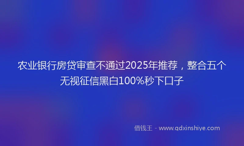 农业银行房贷审查不通过2025年推荐，整合五个无视征信黑白100%秒下口子