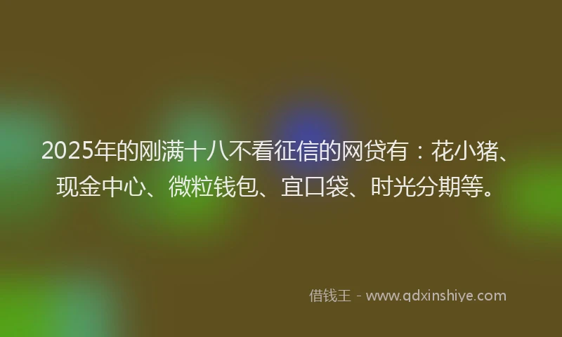2025年的刚满十八不看征信的网贷有：花小猪、现金中心、微粒钱包、宜口袋、时光分期等。