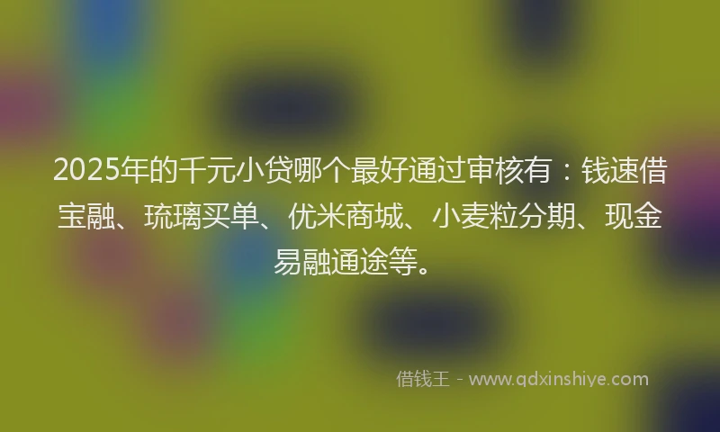 2025年的千元小贷哪个最好通过审核有：钱速借宝融、琉璃买单、优米商城、小麦粒分期、现金易融通途等。