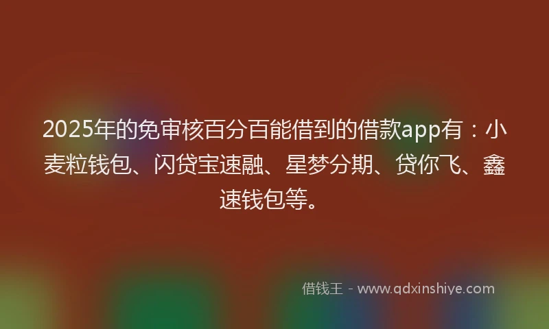 2025年的免审核百分百能借到的借款app有：小麦粒钱包、闪贷宝速融、星梦分期、贷你飞、鑫速钱包等。